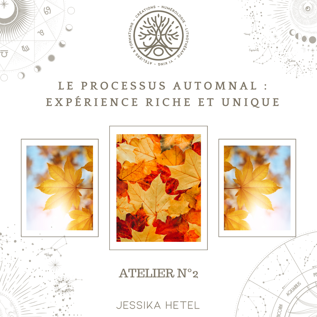 Atelier : ANCRAGE